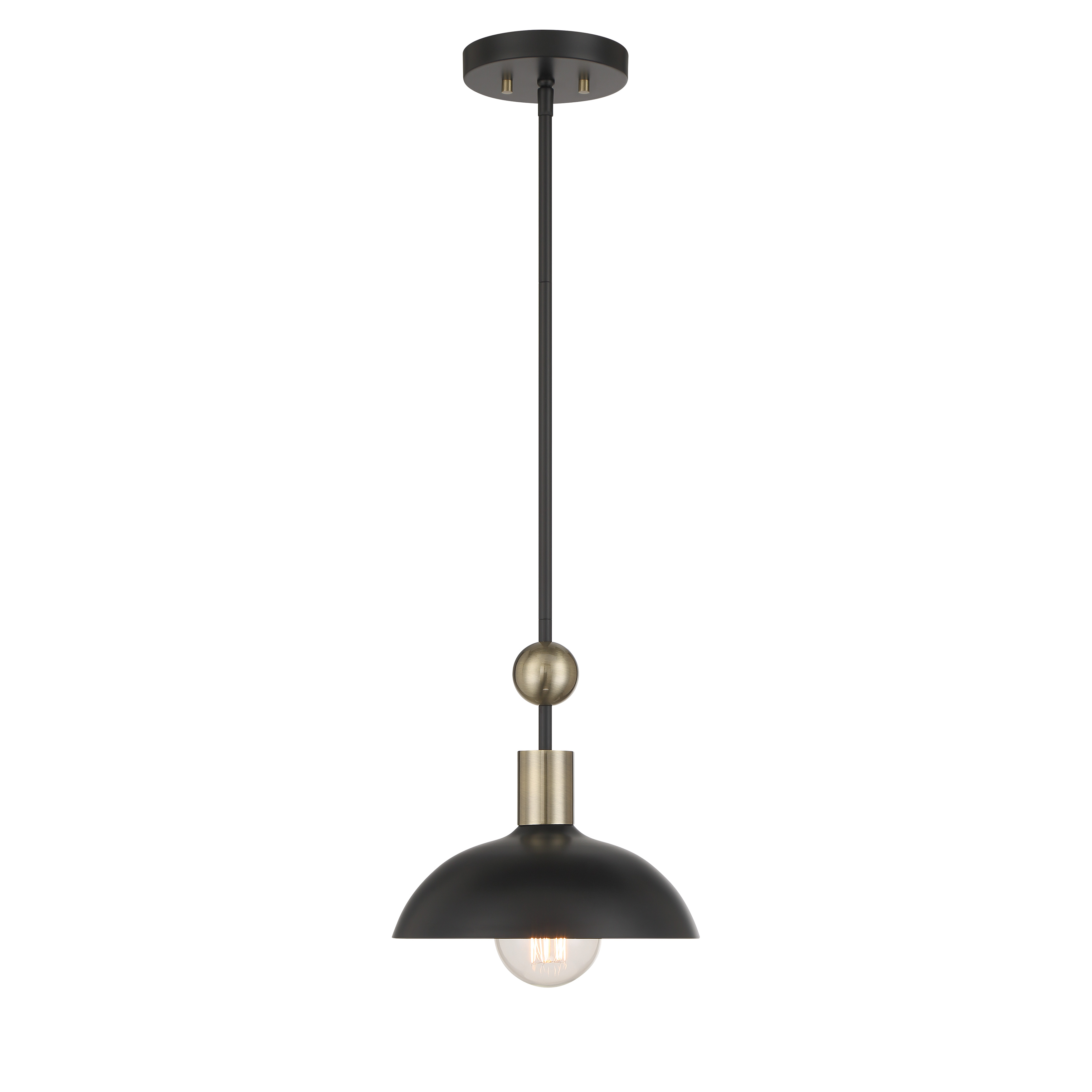 Biloxi - 24" 1 Light Pendant