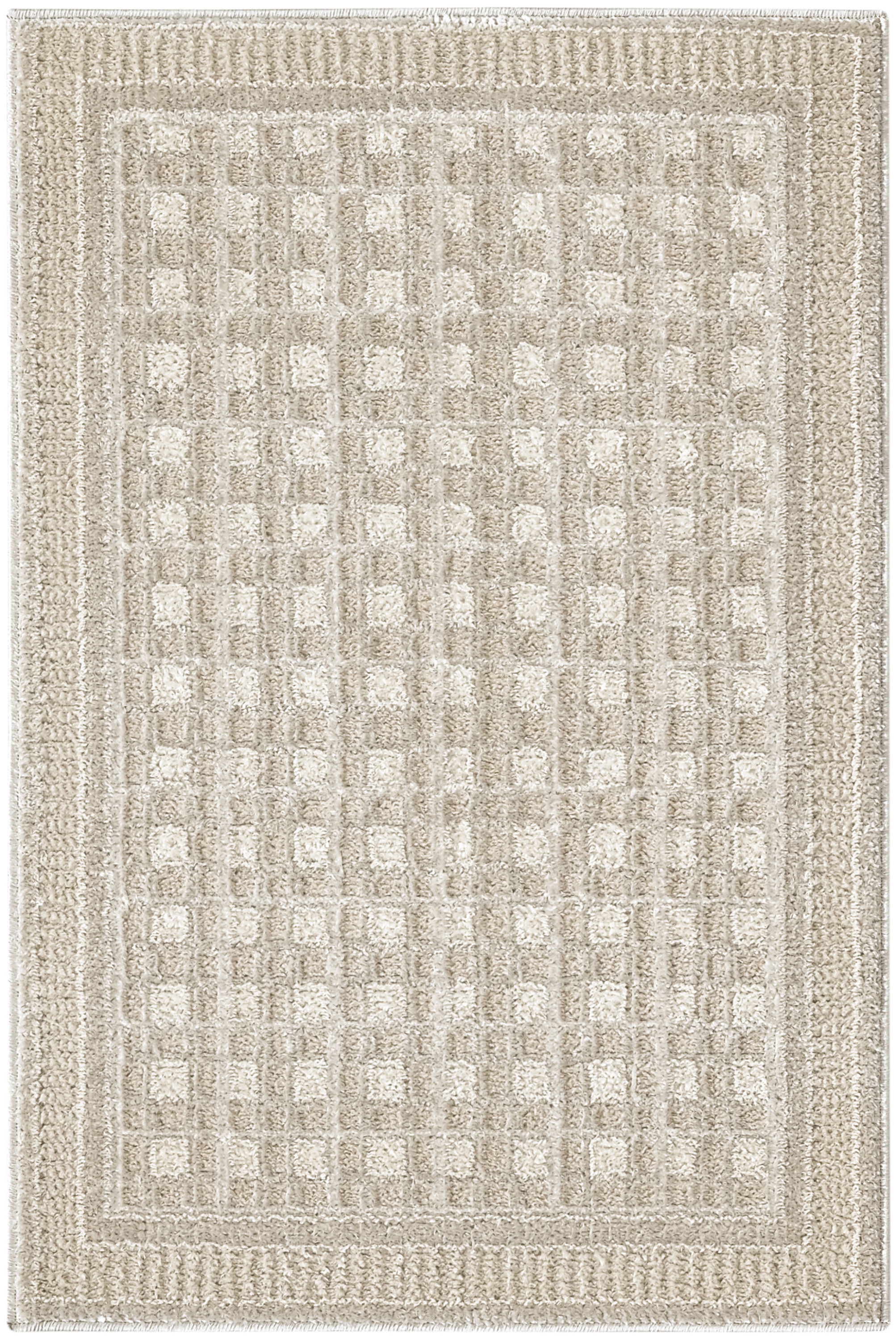 Nourison Nordic 2' x 3' Beige Modern Indoor Rug