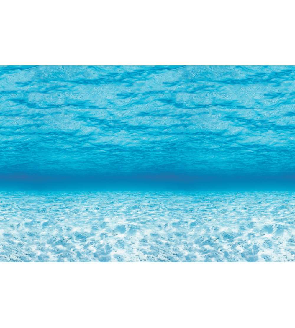 s--M21K2L-Z--/mxh4enbksh0grv8wdnlj.jpg
