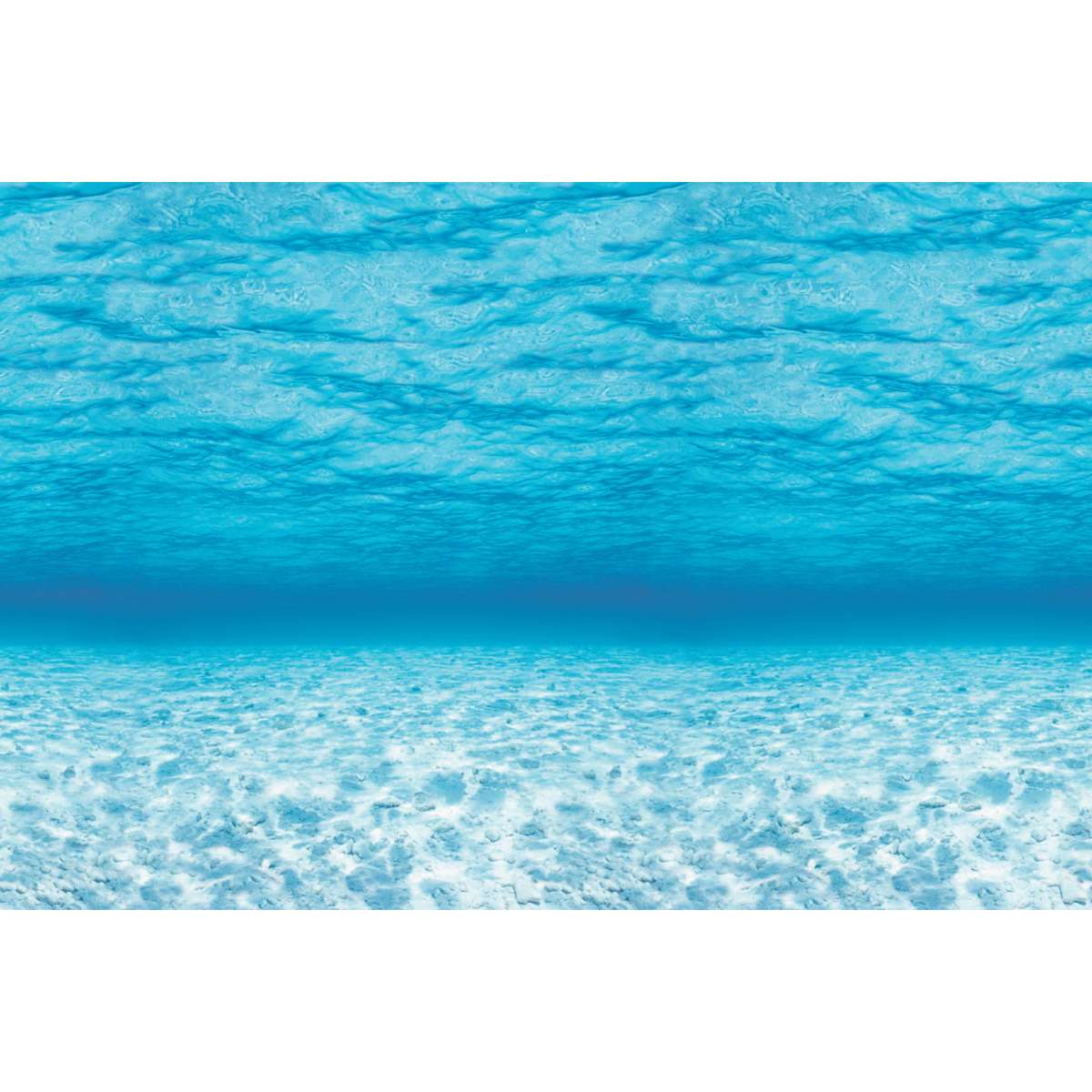 s--M21K2L-Z--/mxh4enbksh0grv8wdnlj.jpg