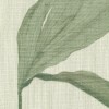 Nancy 1669 Curtains