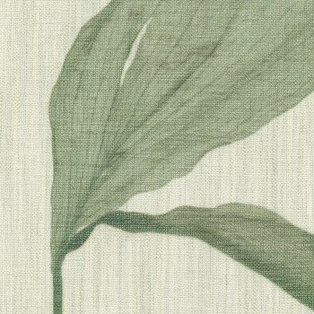 Nancy 1669 Curtains