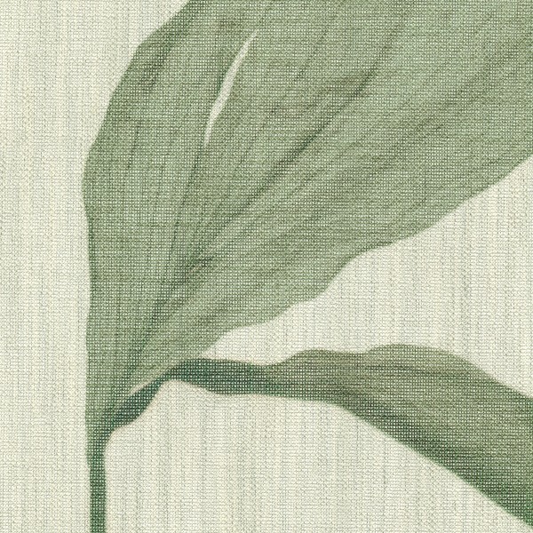 Nancy 1669 Curtains