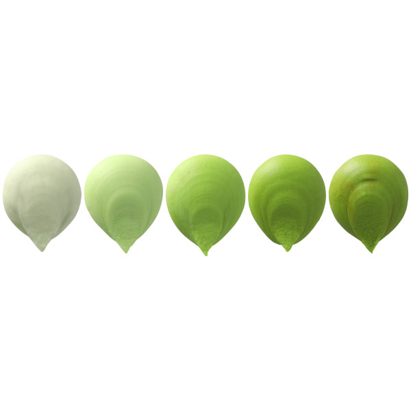 Green Apple Made Simply™ Premium Gel Color