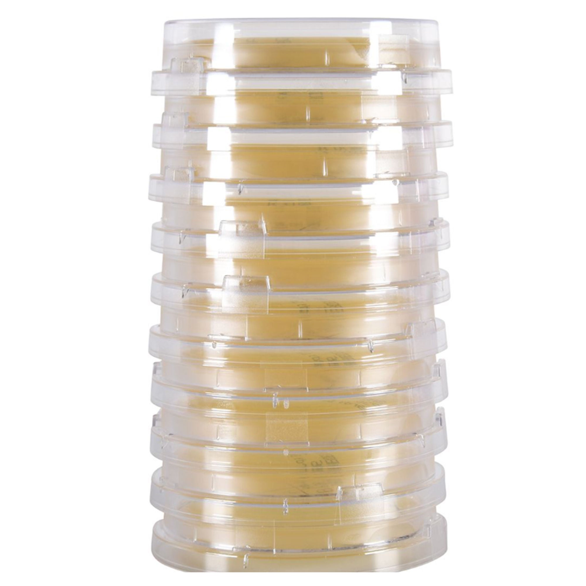 Hardy Diagnostics PLATE, TRYPTIC SOY AGAR W/LECITHIN TWEEN USP BAGGED (10/PK)