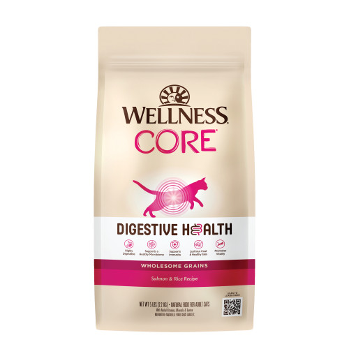 Wellness CORE Digestive Health Salmon Front packaging