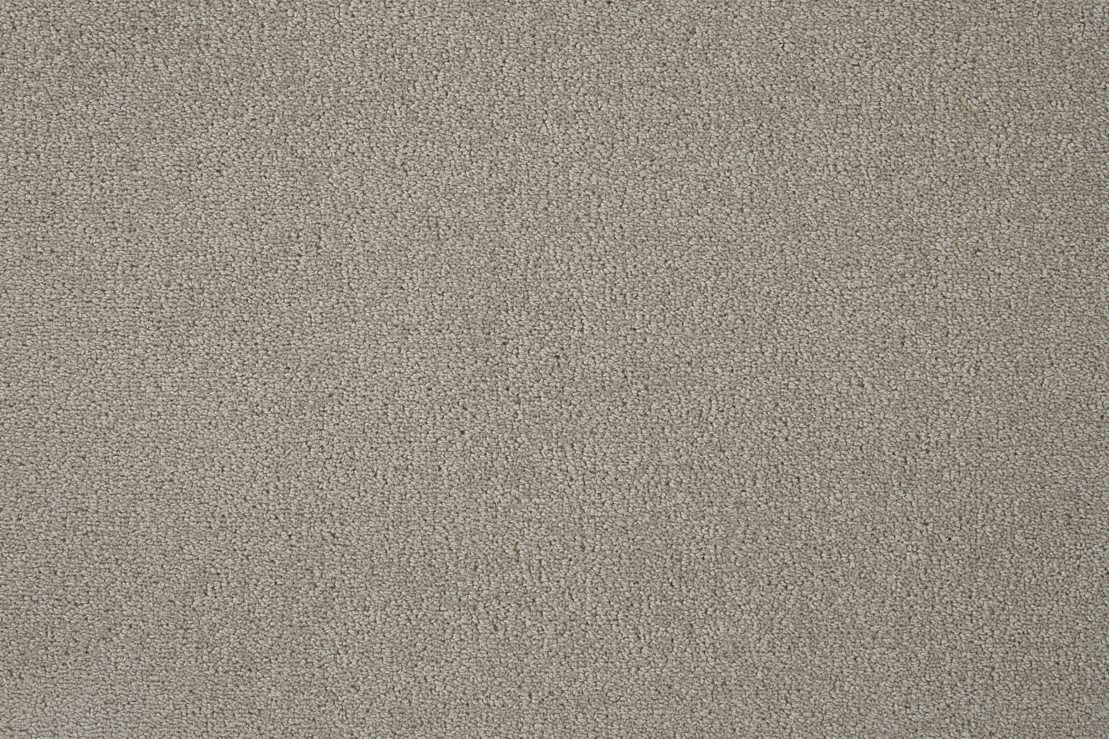 color-rug1