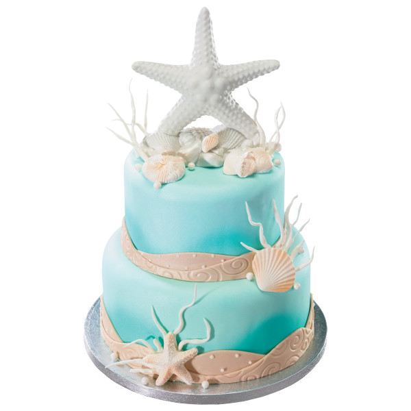 Seashell Assortment Gum Paste Layon