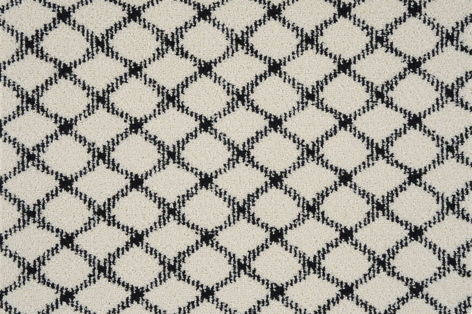 color-rug1