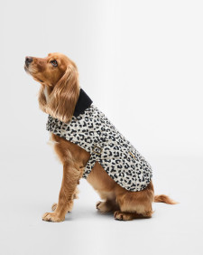 Harley Quilted Dog Coat 