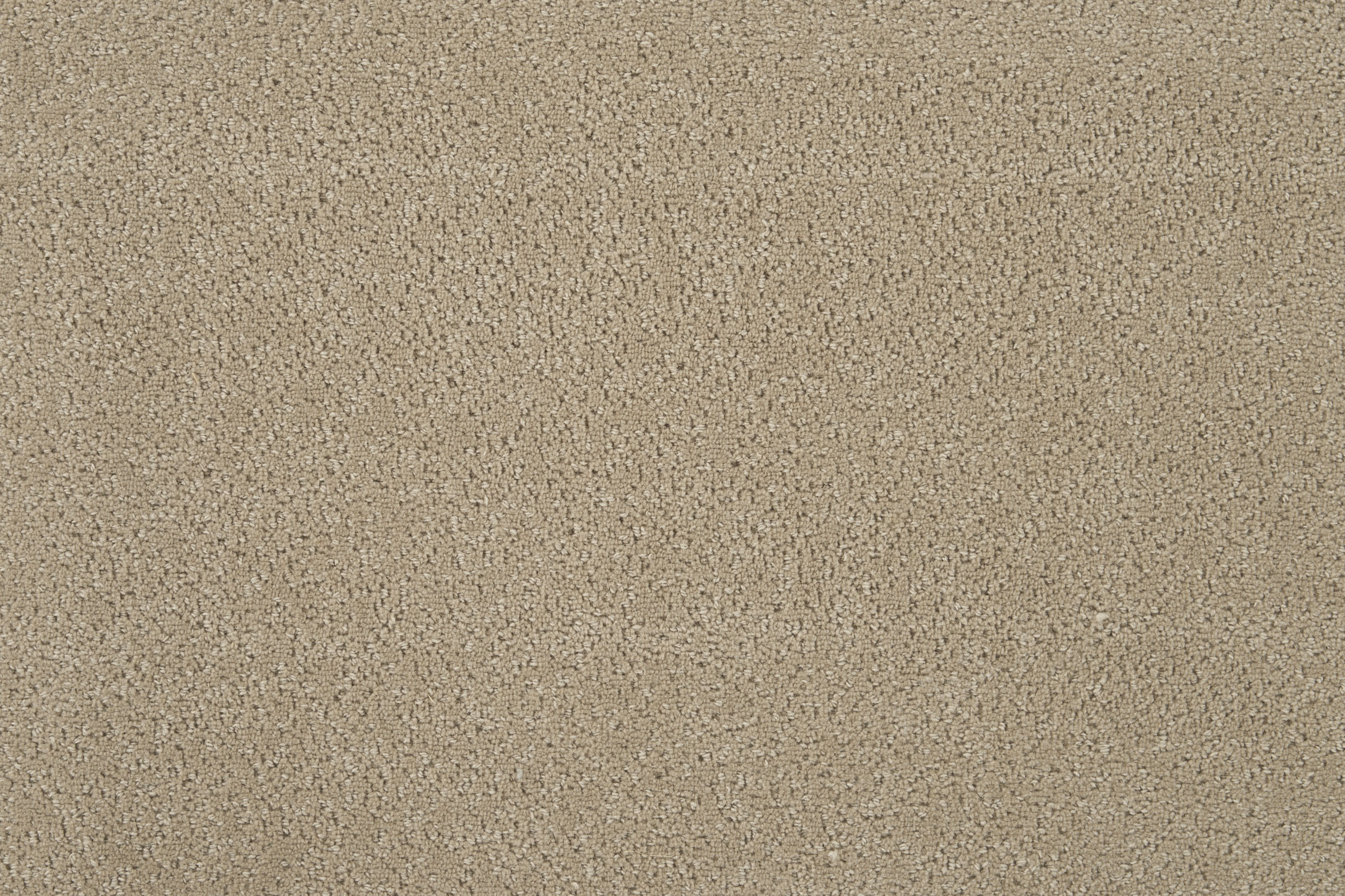 color-rug1