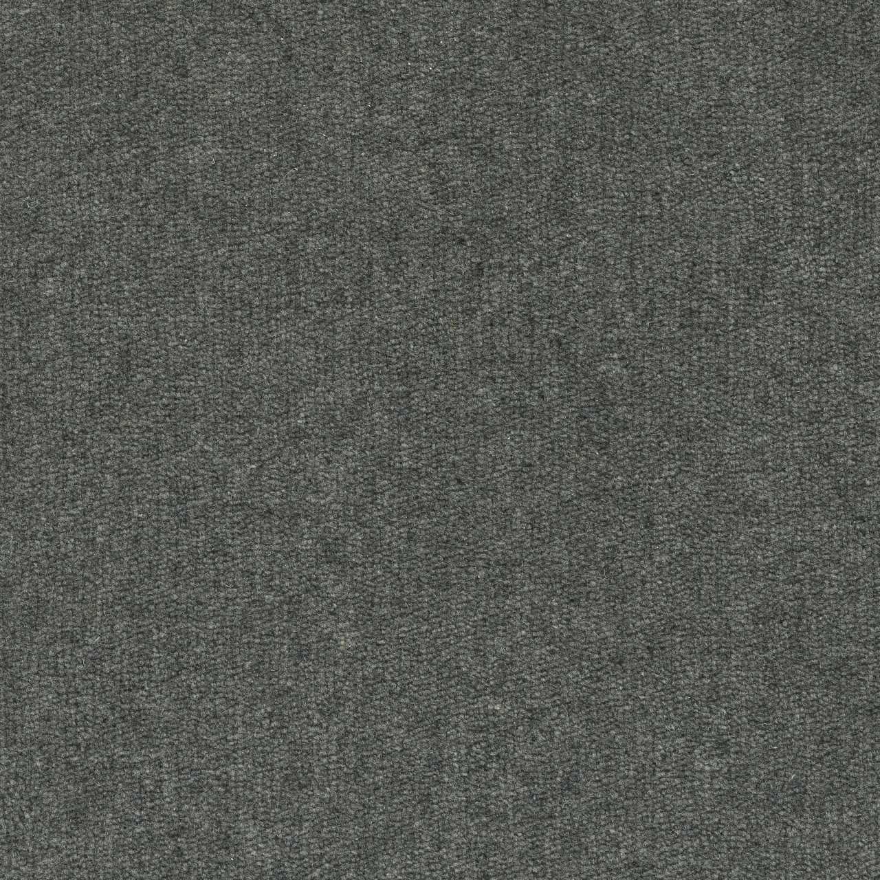 color-rug1
