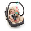 Chime Along Friends™ Take-Along Toys