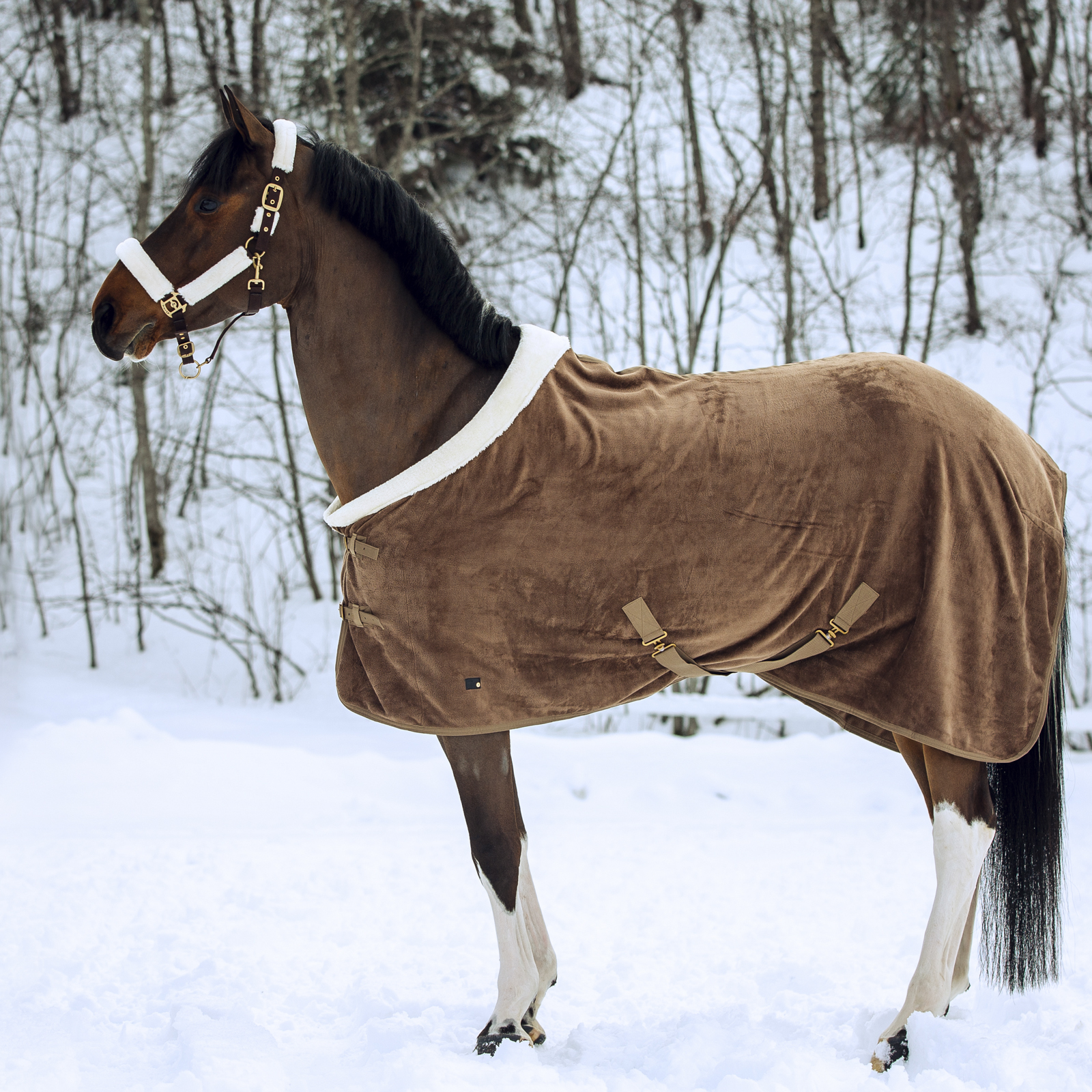 Horze Lincoln Fleece Blanket with Padded Collar