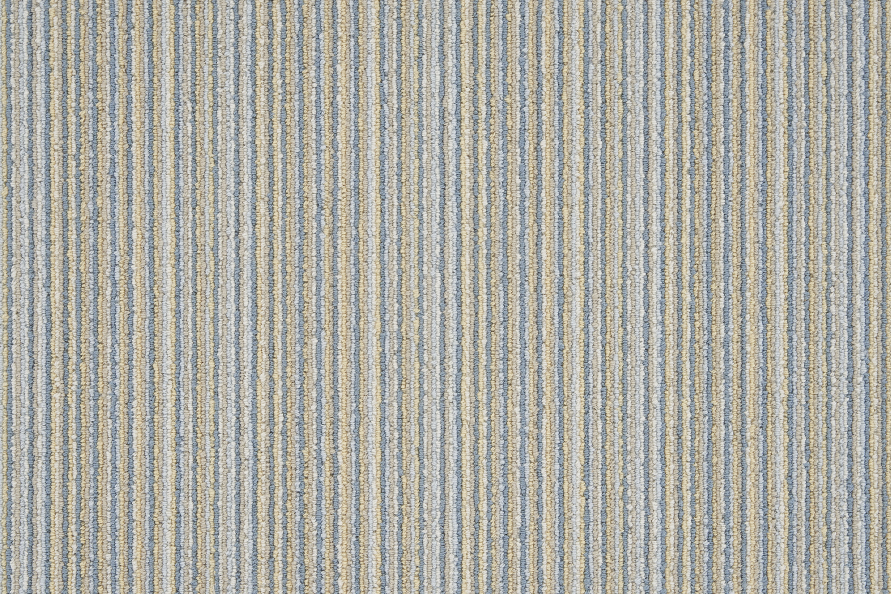 color-rug1