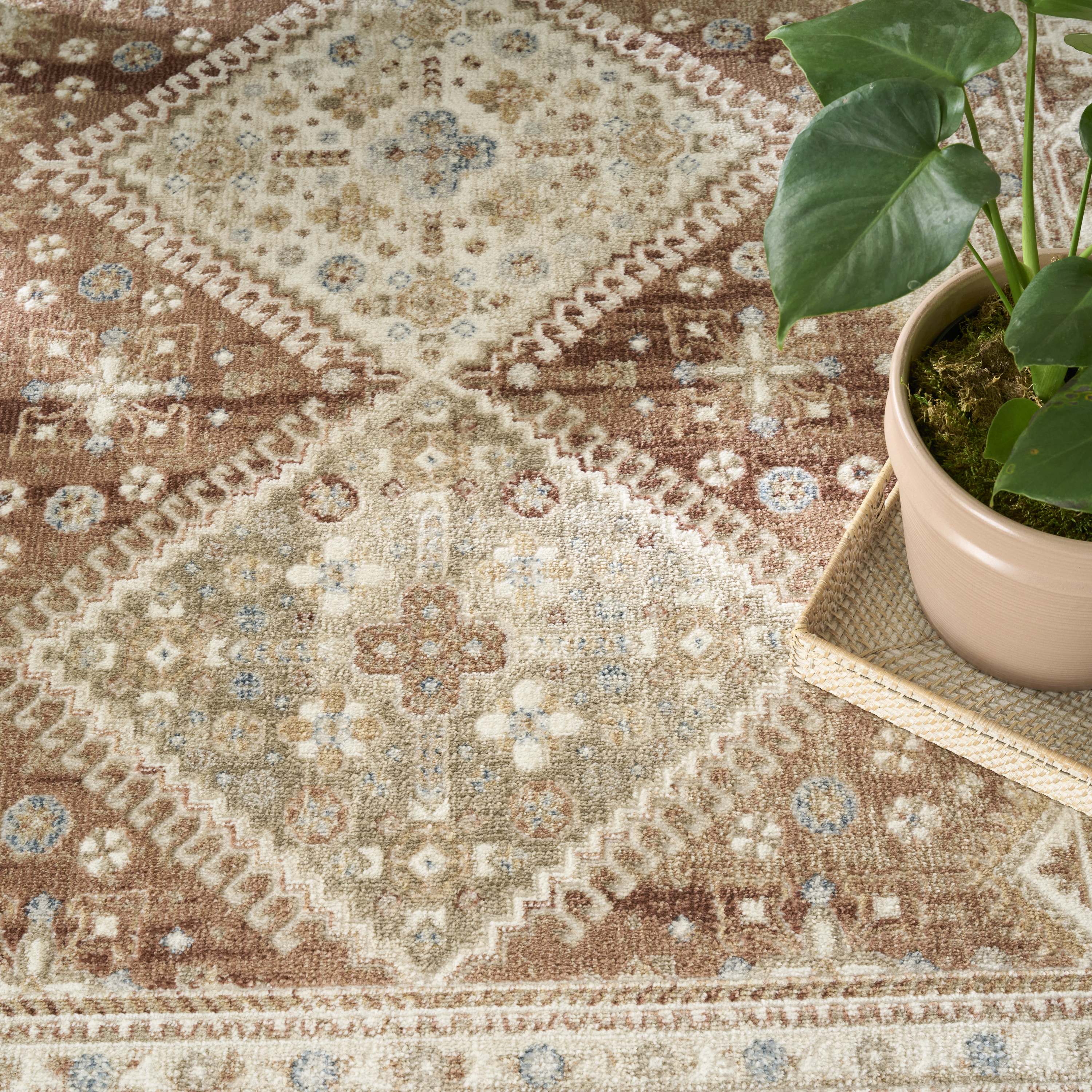 Nourison Pardis 4' x 6' Rust Vintage Indoor Rug