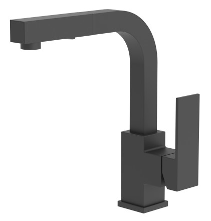 Duro Pull Out Kitchen Faucet