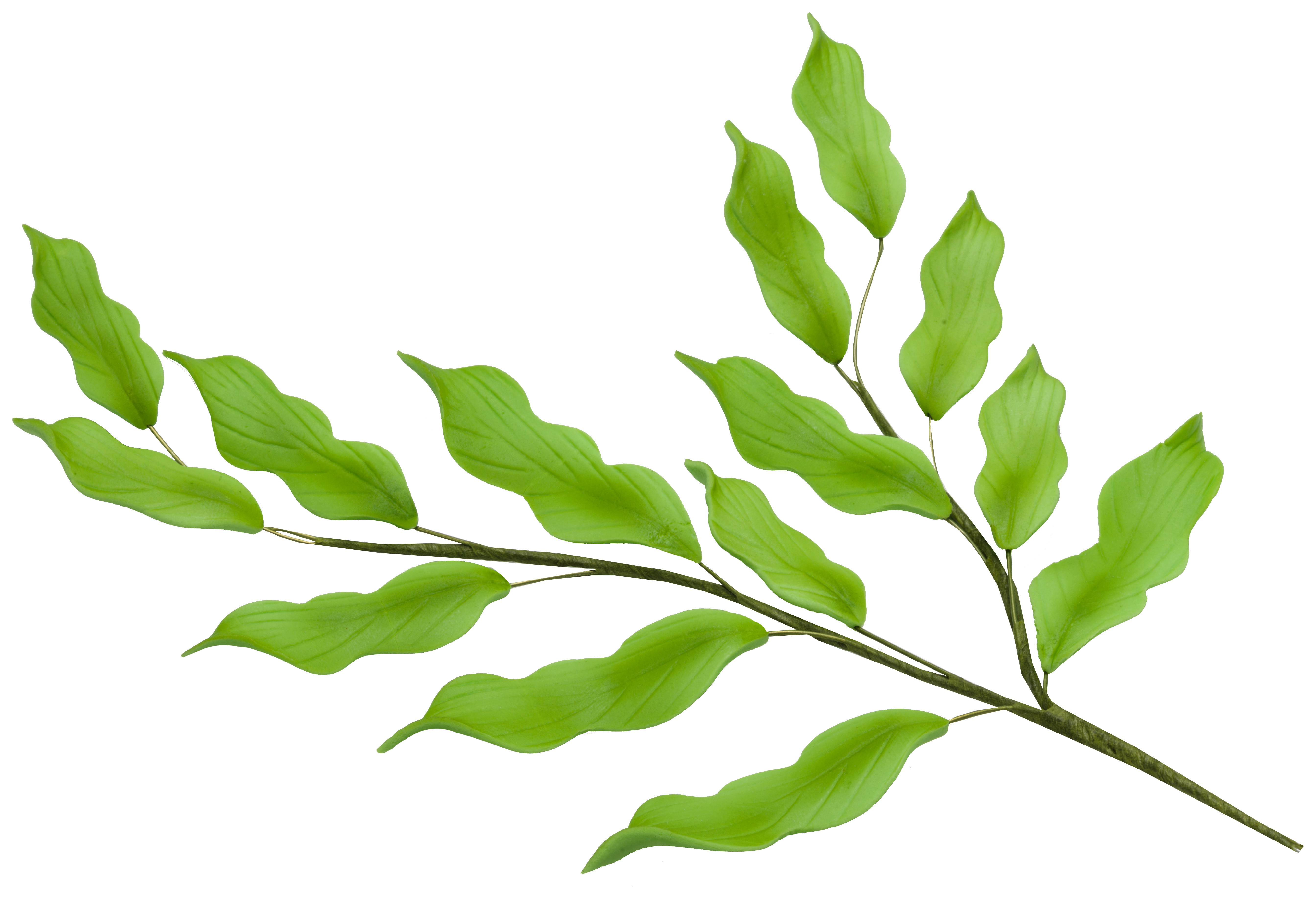 green stem green stem
