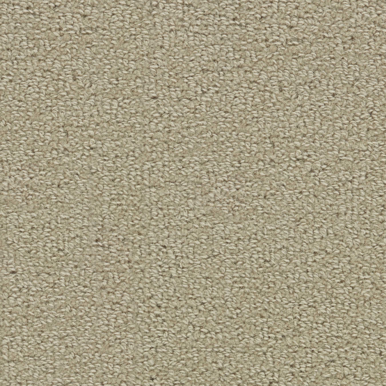 color-rug1