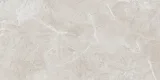 Regency Ivory 12X24 Field Tile Matte