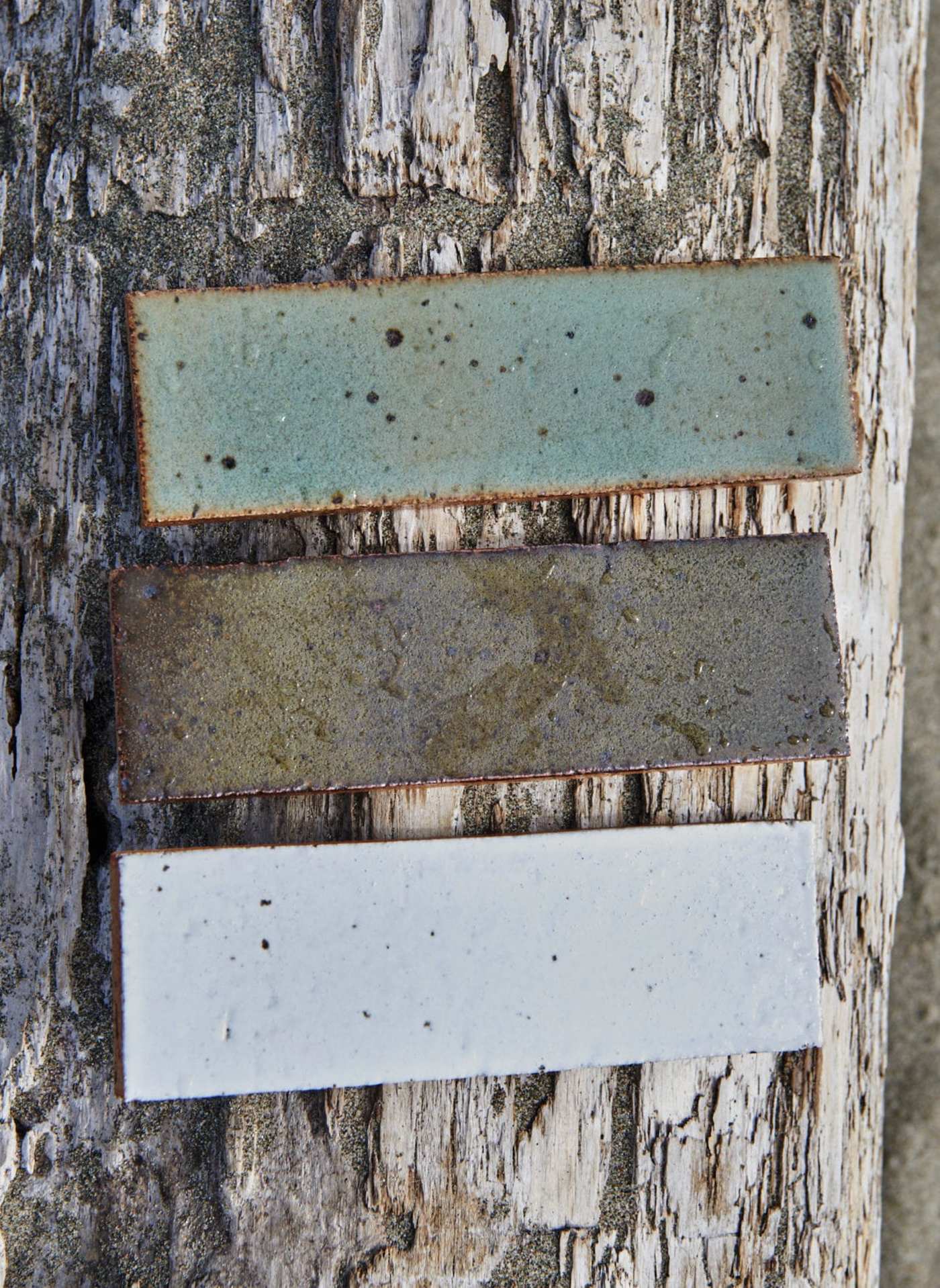 three rectangle tiles in front of a tree stump.