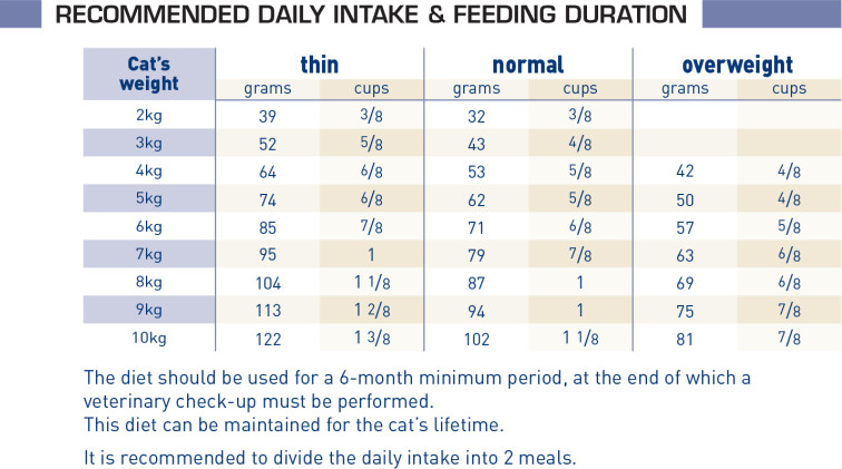 renal-feline-dry-cat-food-royal-canin