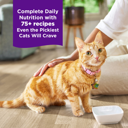The benifts of Wellness Complete Health Purrfect Duos Beef & Chicken