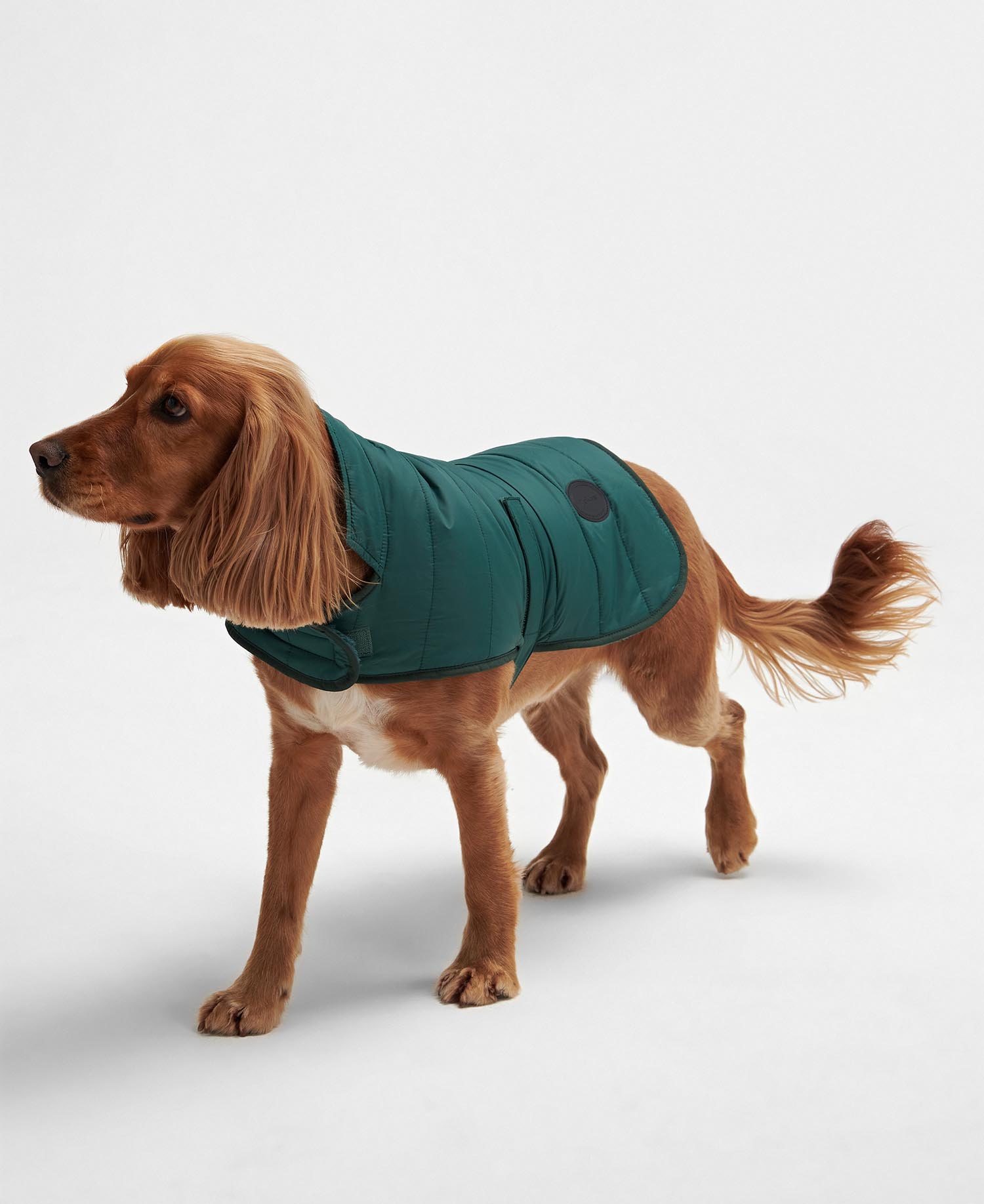 Baffle Quilted Dog Coat image number 0