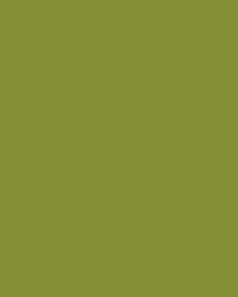 [B12091]Bainbridge Chartreuse 32x40