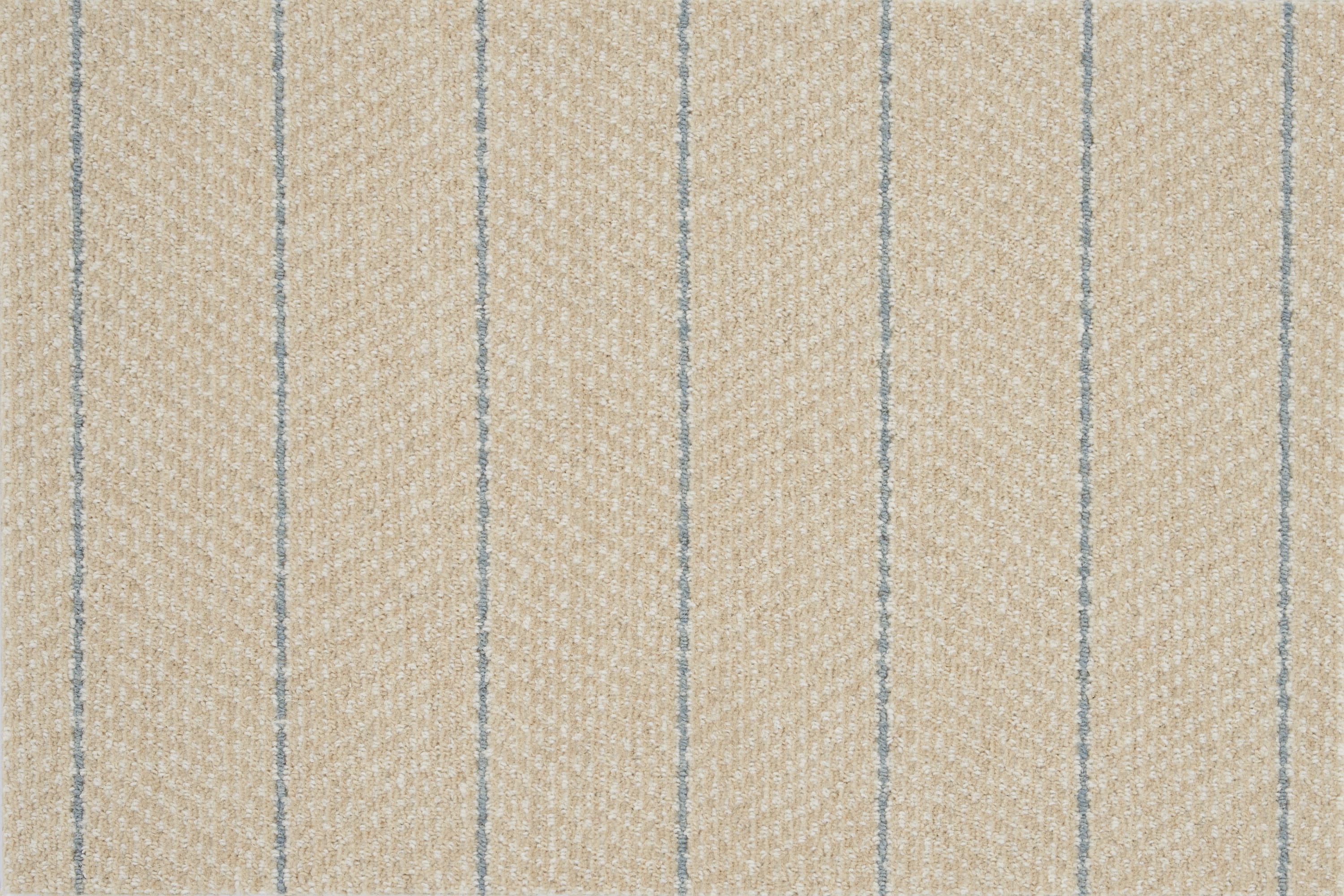 color-rug1