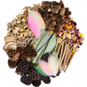 Naturals Woodland Wonders Loose Parts Set
