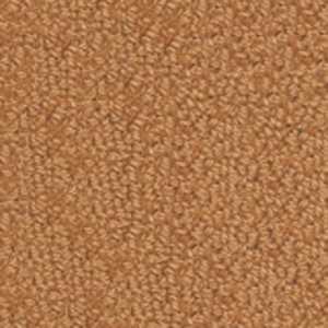 color-rug1