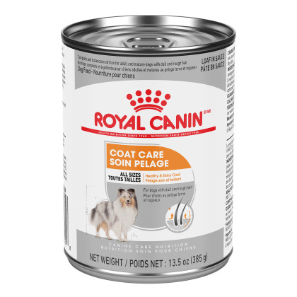 Royal Canin Canine Care Nutrition Coat Care Canned Dog Food