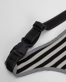 Evie Waterproof Dog Coat 