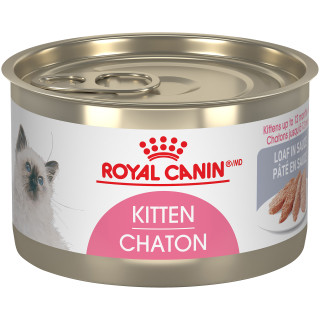 Kitten Loaf In Sauce Canned Cat Food