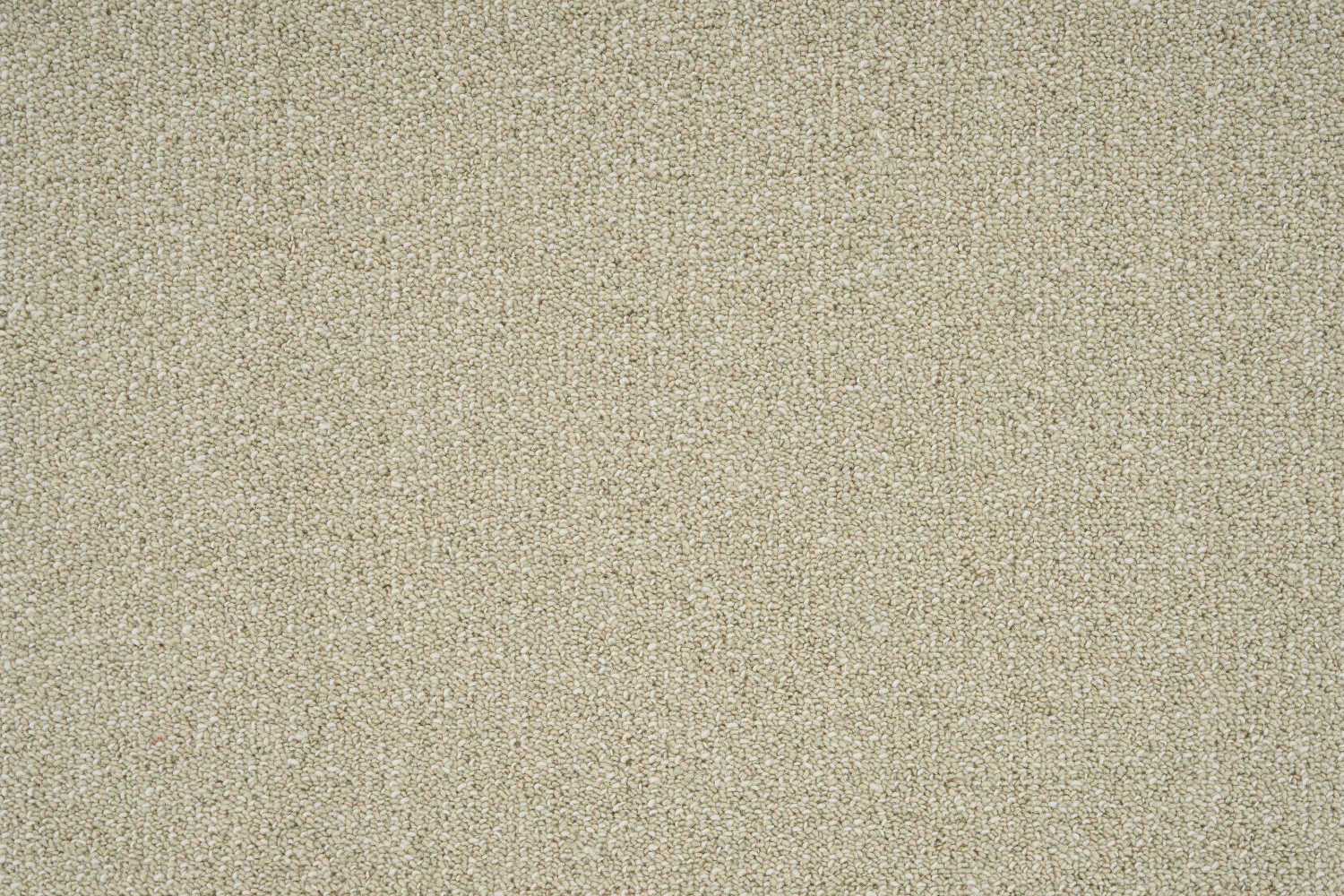 color-rug1