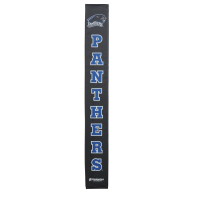 Eastern Illinois Panthers thumbnail 2