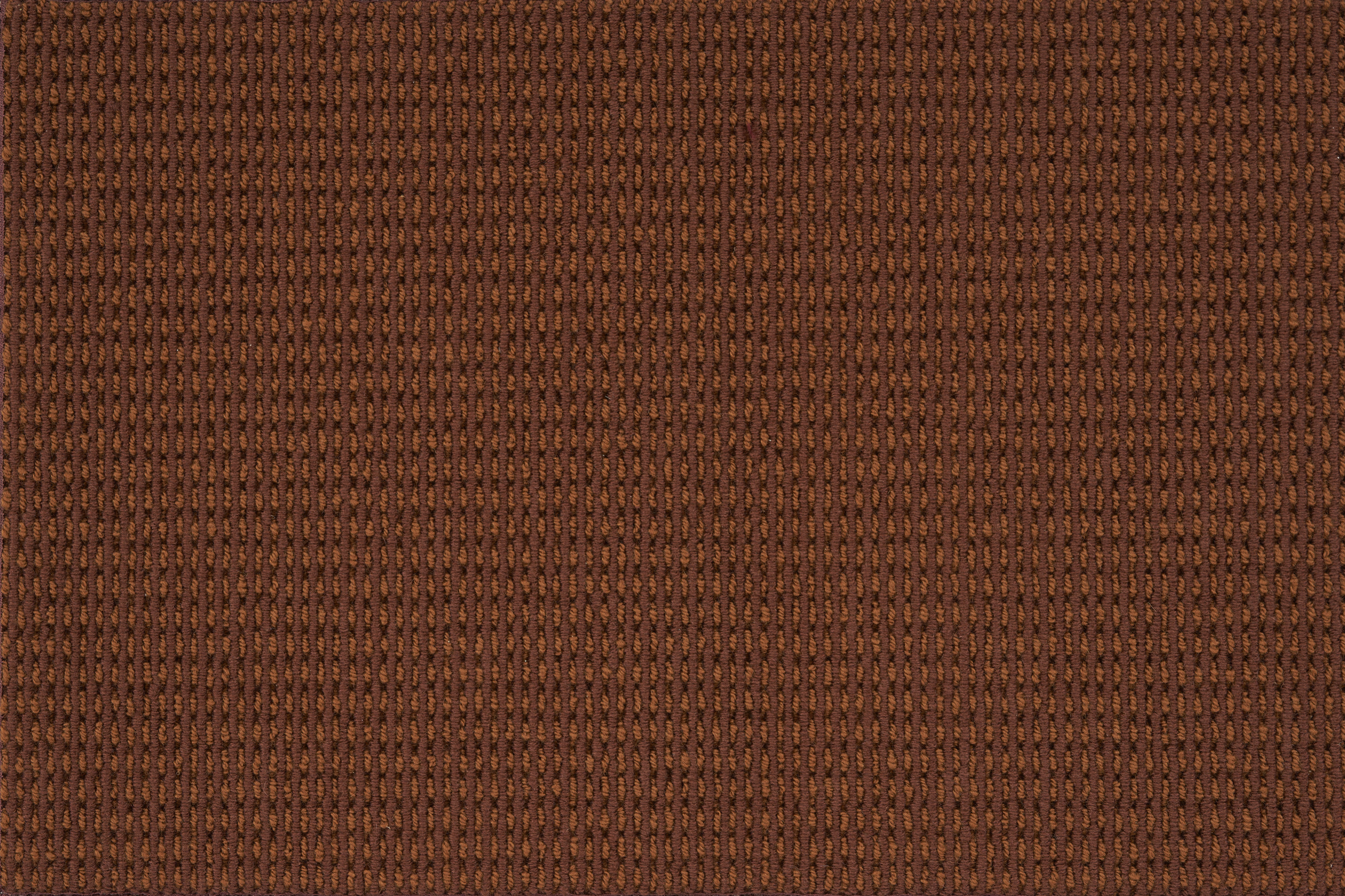color-rug1