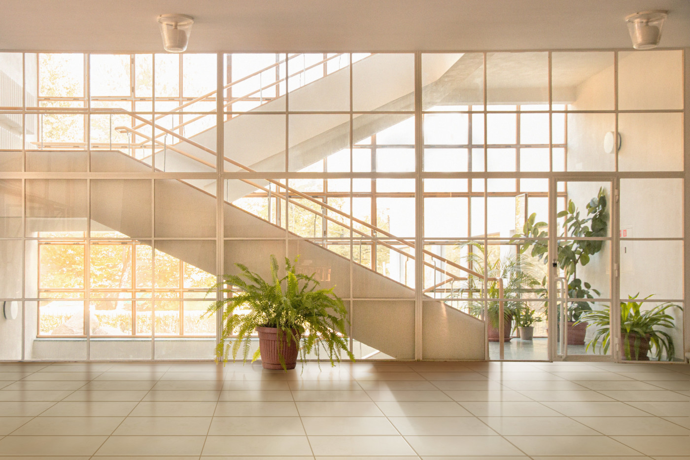 An airy light filled lobby with stairs and a potted plant.