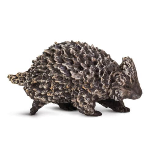 Porcupine (Wild Safari North American Wildlife)