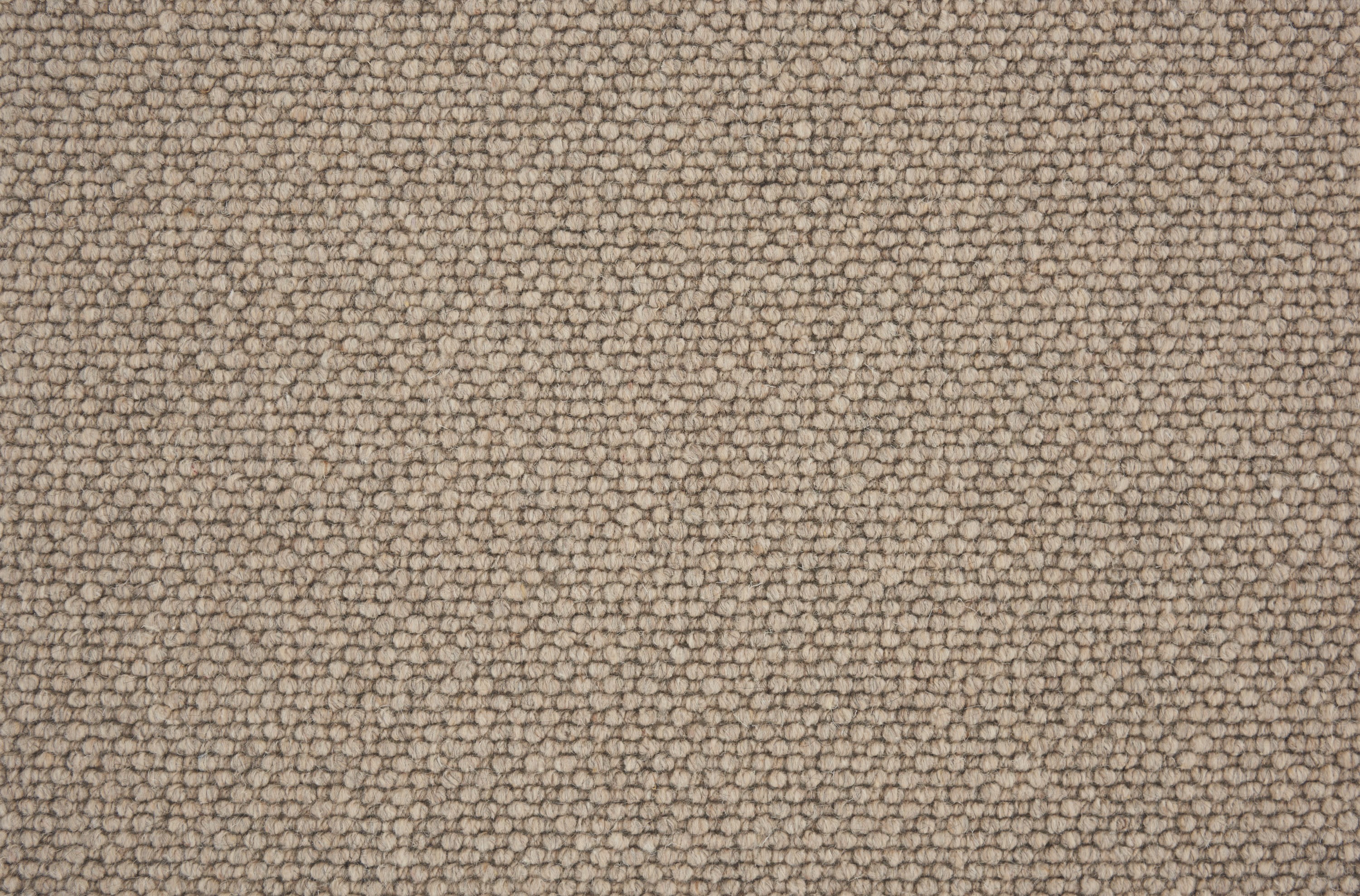 color-rug1