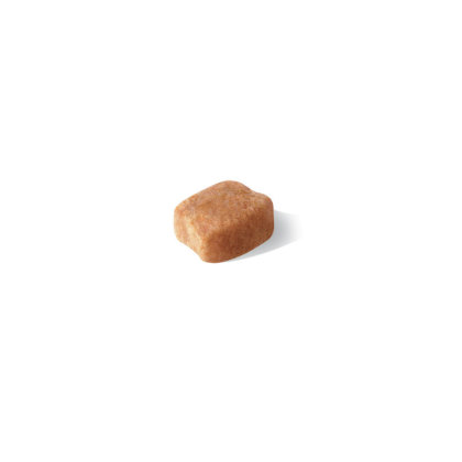 Dachshund Adult kibble