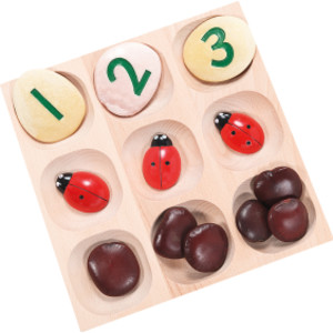 Natural Sorting Tray