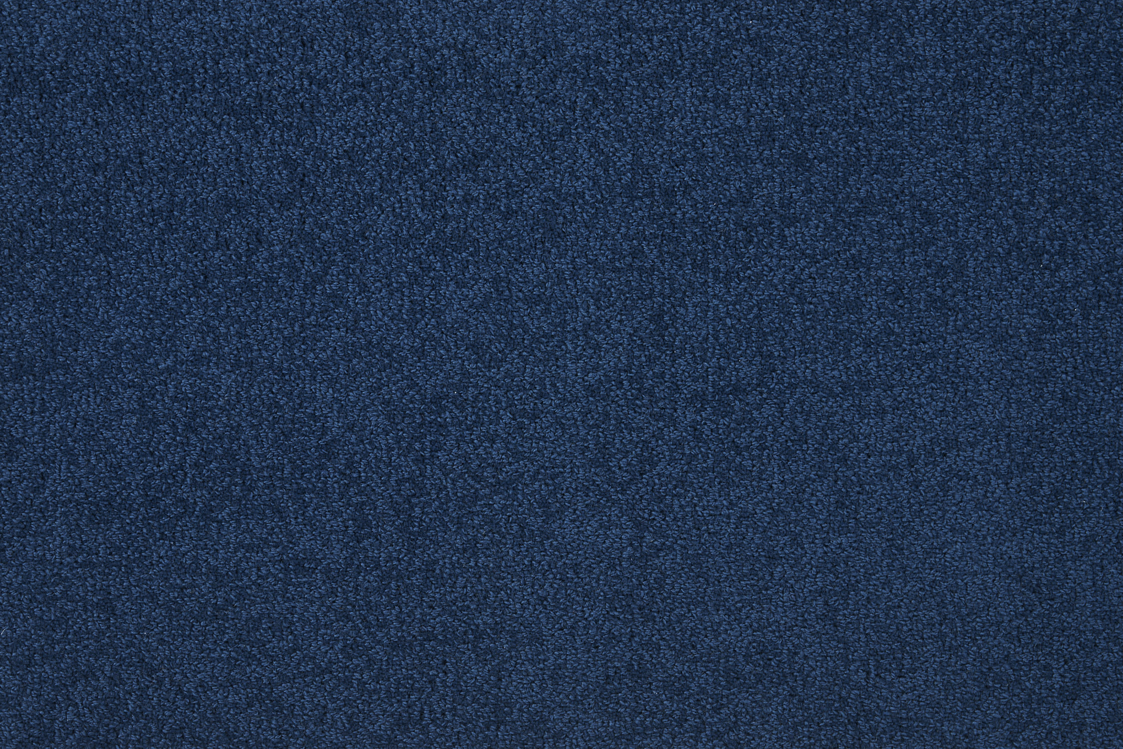 color-rug1