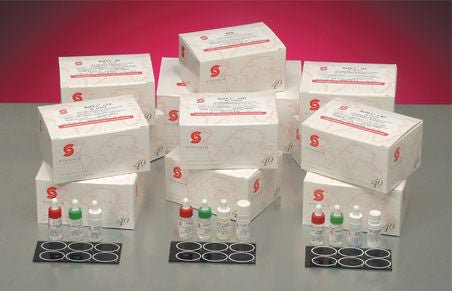RaPET® RF Rheumatoid Factor Latex Agglutination Autoimmune Test Kit