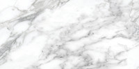 Amica Arabescato 12×24 Field Tile Honed Rectified