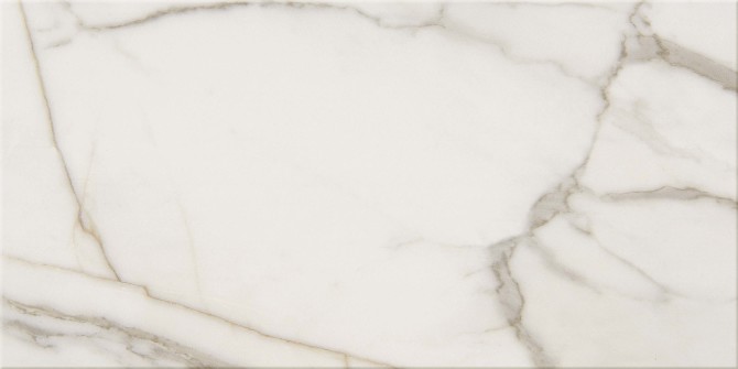 Mythique Marble Calacatta Venecia 12×24 Field Tile Matte Rectified