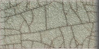 Euphoria Tapestry 3×6 Bullnose (3″ Glazed Edge)