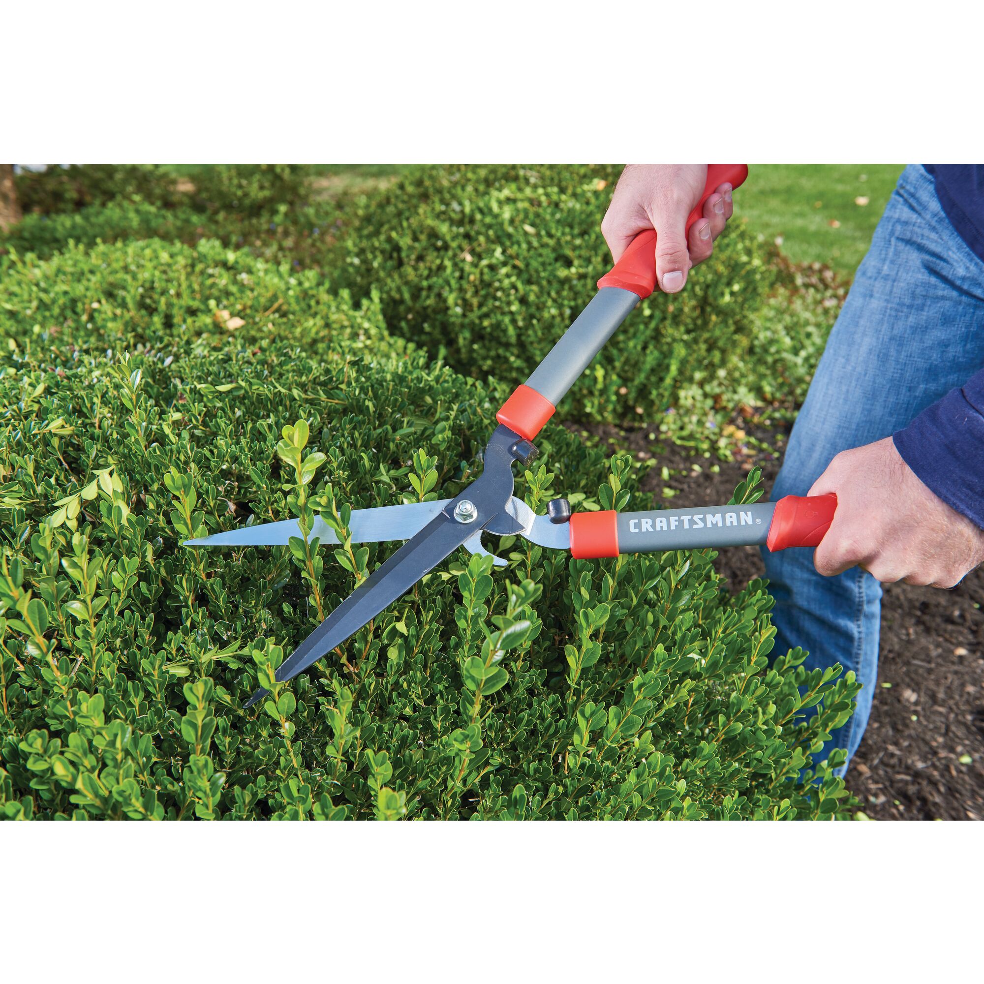 Multi purpose hedge shears being used by a person to trim a hedge.
