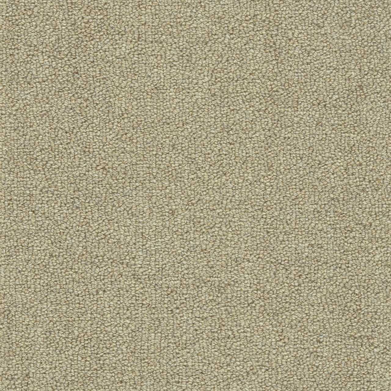 color-rug1